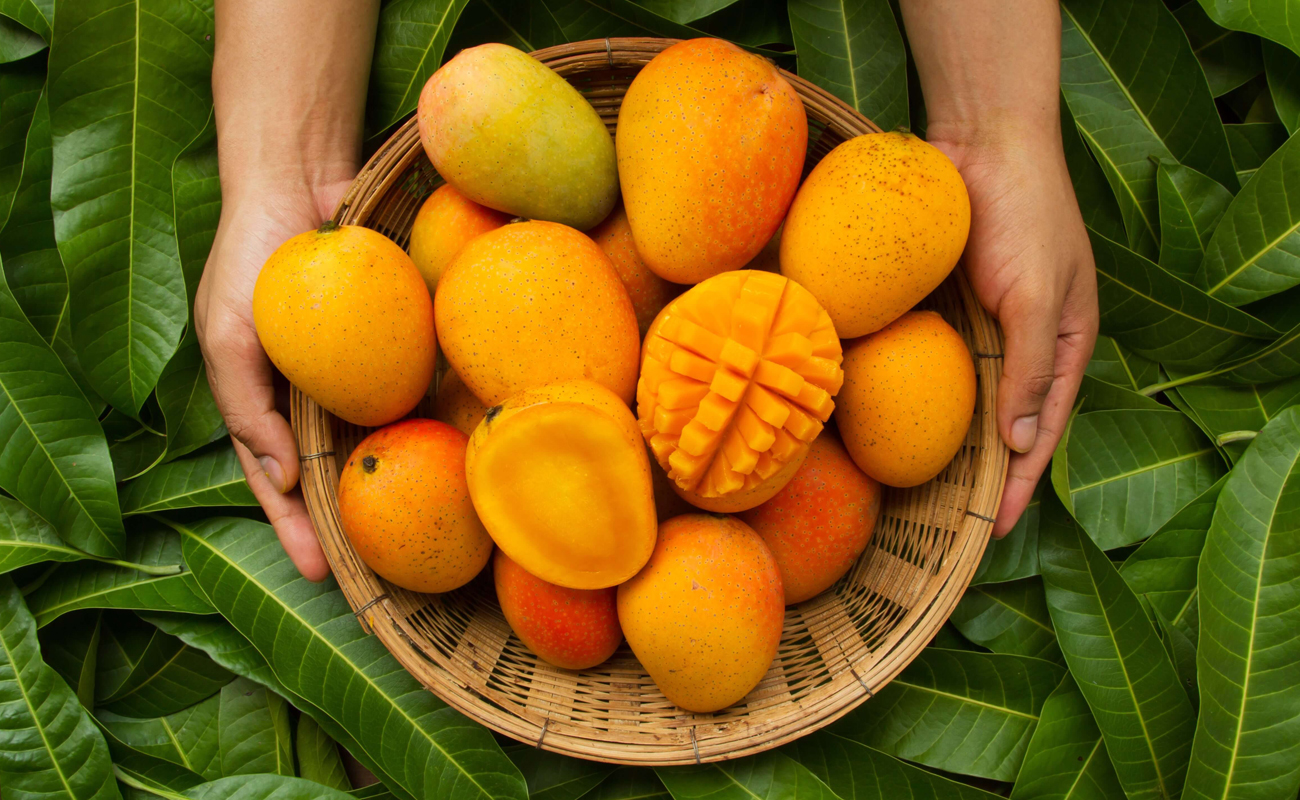 Discover the Excellence of Mangos from Growier Group: Premium Quality and Sustainable Farming